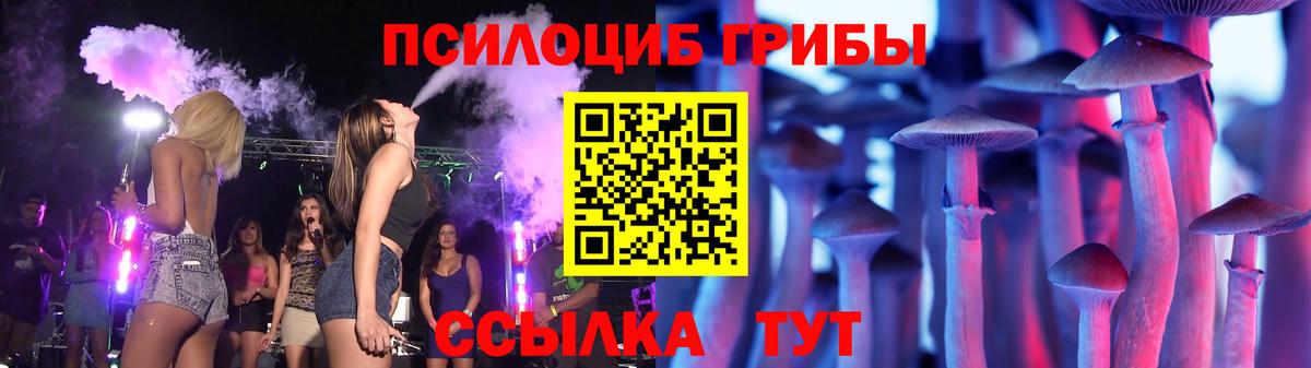 Псилоцибиновые грибы Cubensis Норильск